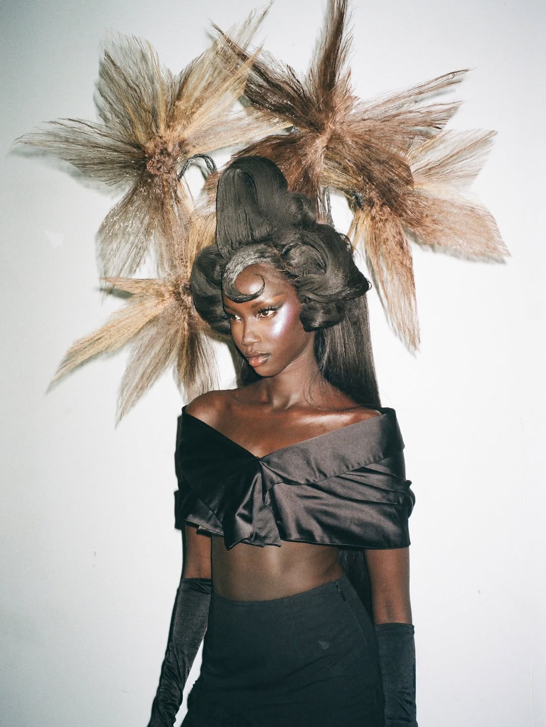 Black Hair Reimagined